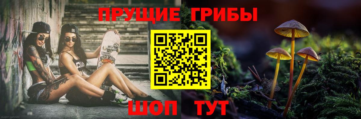 Галлюциногенные грибы мицелий  Вход с VPN  Кохма 